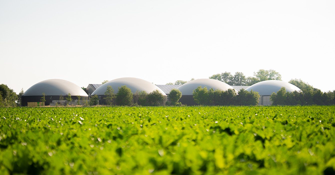 Peters Biogas Luttelgeest Vanuit Het Land